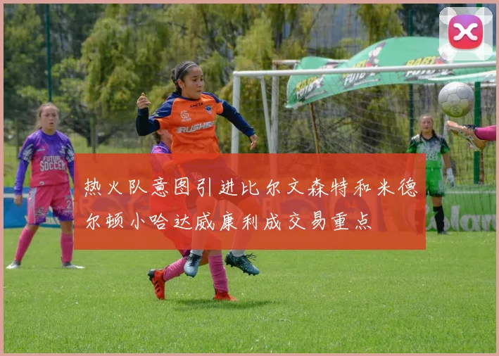 热火队意图引进比尔文森特和米德尔顿小哈达威康利成交易重点