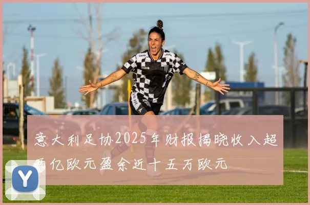 意大利足协2025年财报揭晓收入超两亿欧元盈余近十五万欧元